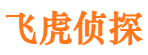 渝中婚外情调查取证